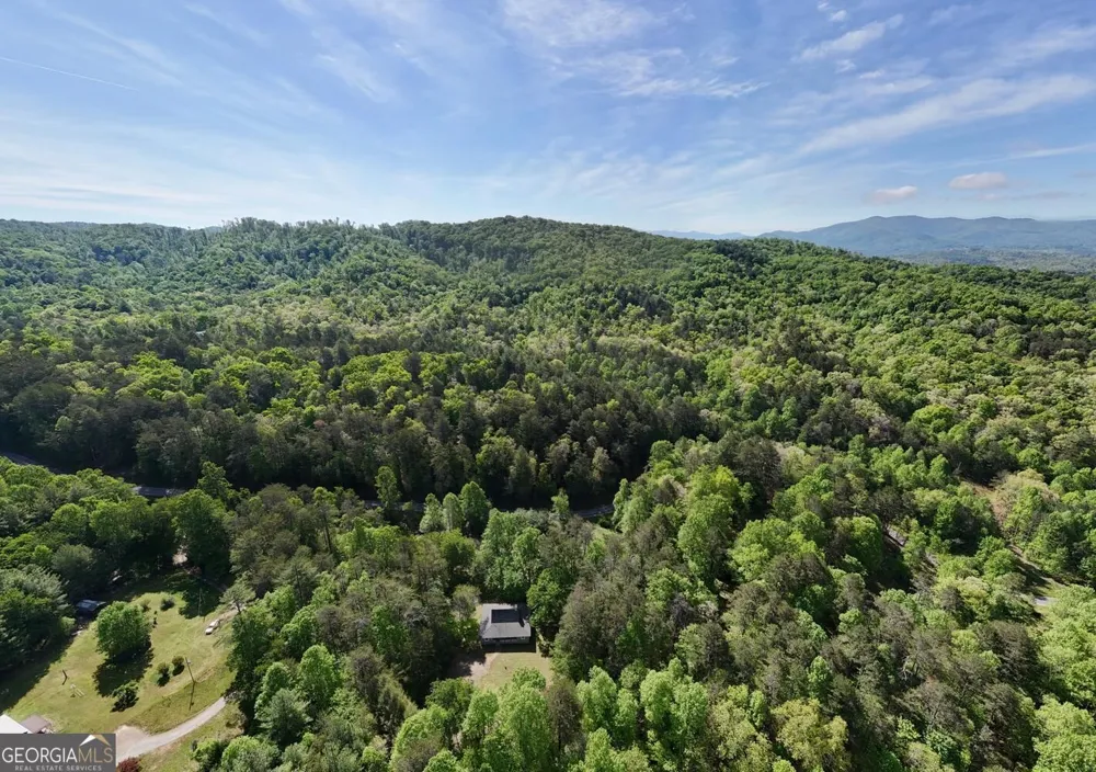 1493 Greasy Creek Road Brasstown, NC 28902