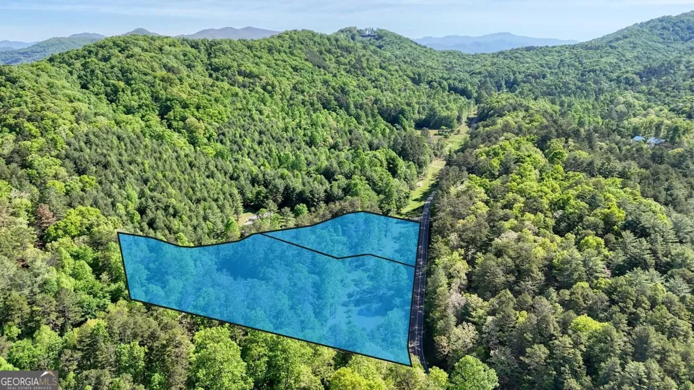 1493 Greasy Creek Road Brasstown, NC 28902