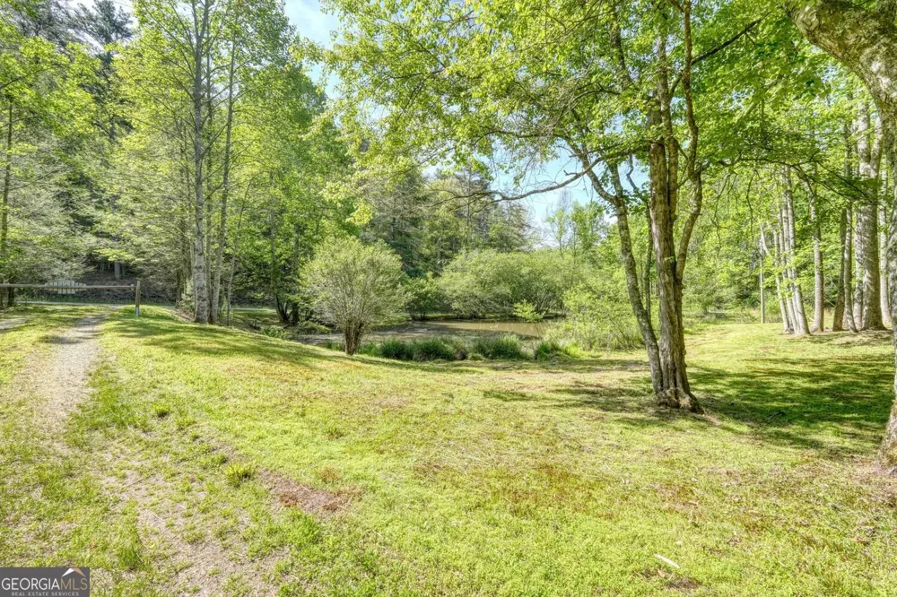 1493 Greasy Creek Road Brasstown, NC 28902