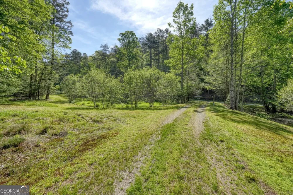 1493 Greasy Creek Road Brasstown, NC 28902