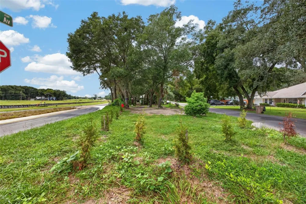 25717 TROON AVENUE Sorrento, FL 32776