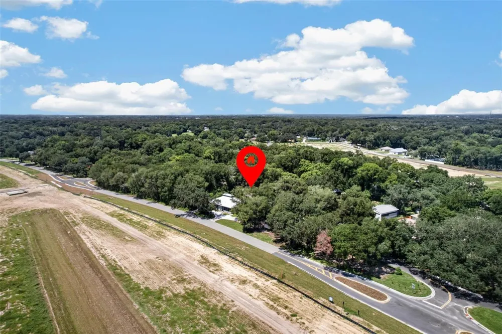 25717 TROON AVENUE Sorrento, FL 32776