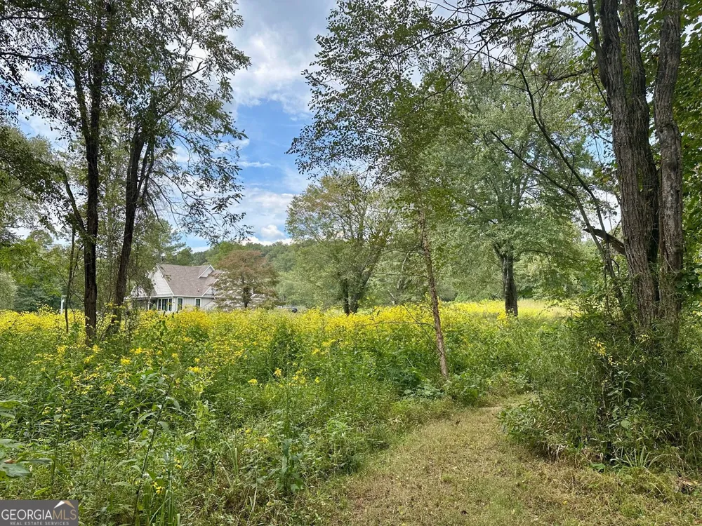0 TBD Creekfront Lane Hayesville, NC 28904