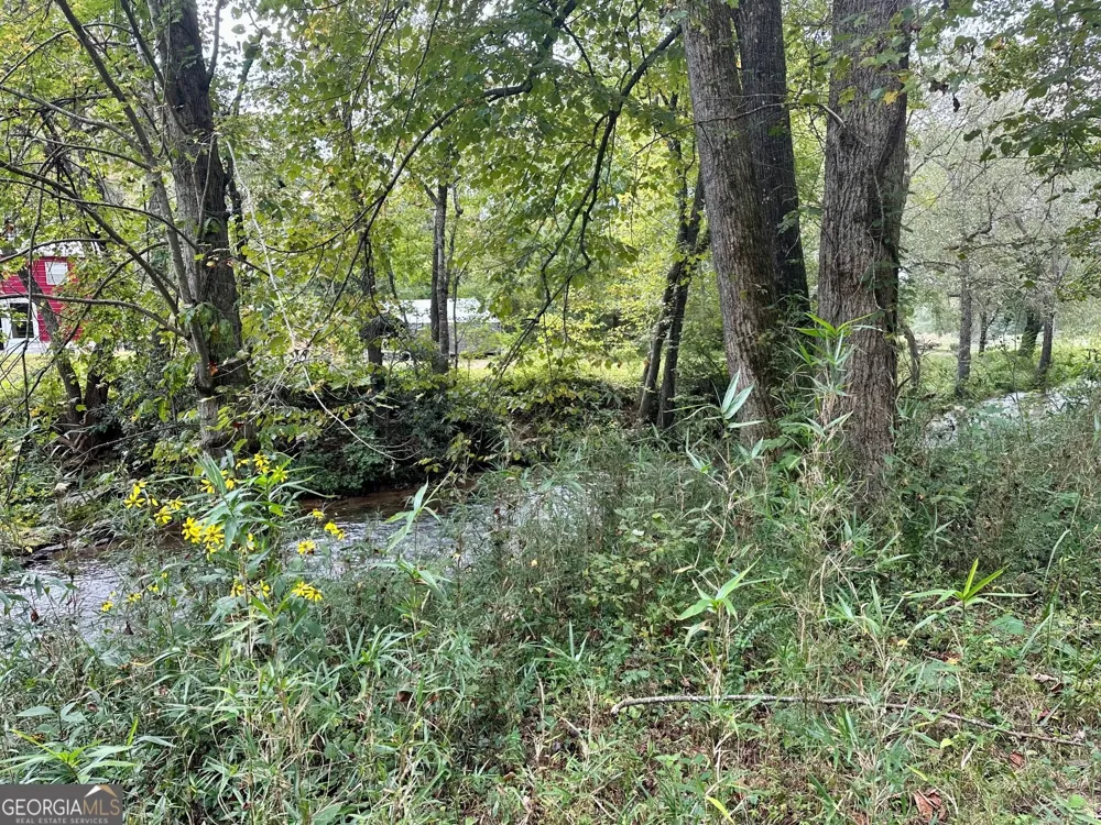 0 TBD Creekfront Lane Hayesville, NC 28904