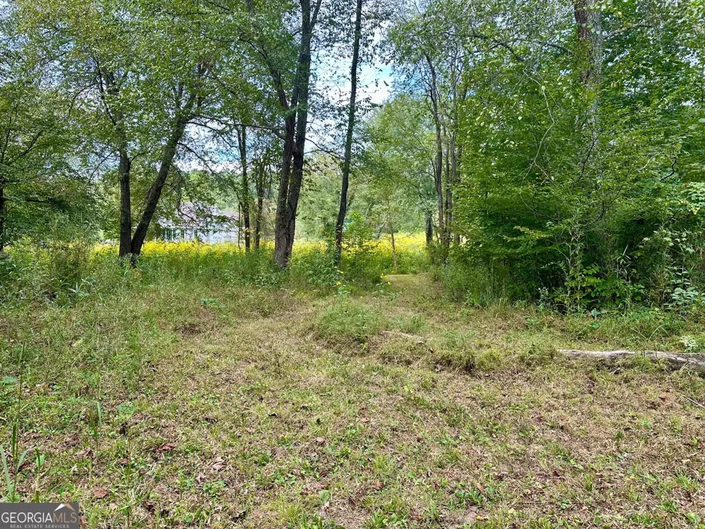 0 TBD Creekfront Lane Hayesville, NC 28904