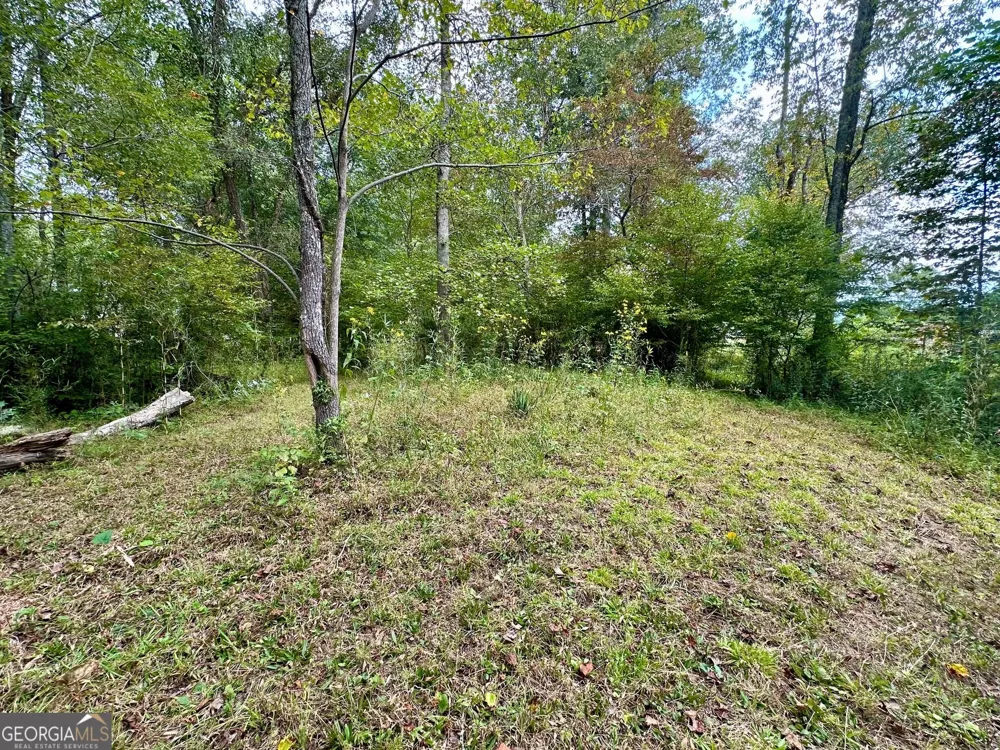 0 TBD Creekfront Lane Hayesville, NC 28904