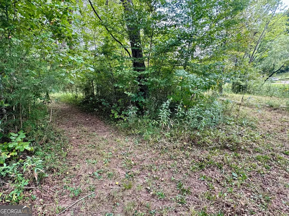 0 TBD Creekfront Lane Hayesville, NC 28904