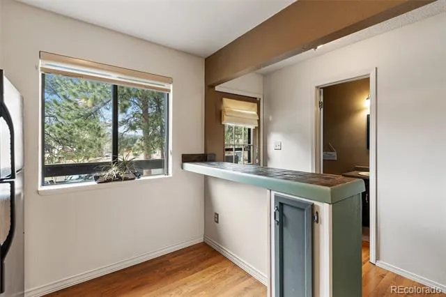 560 Manor Court #C Woodland Park, CO 80863