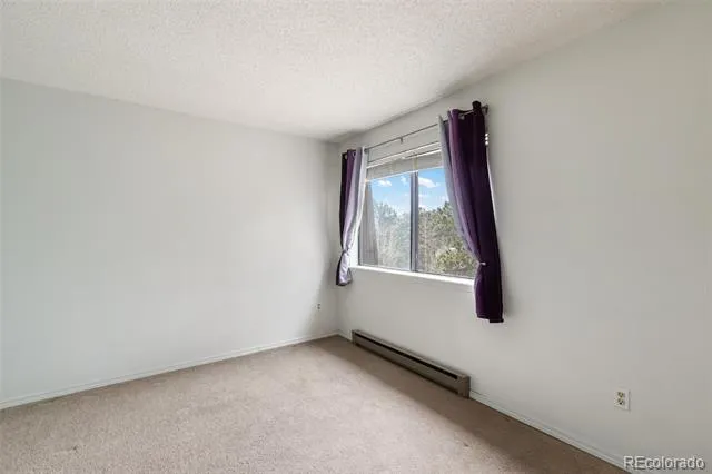 560 Manor Court #C Woodland Park, CO 80863