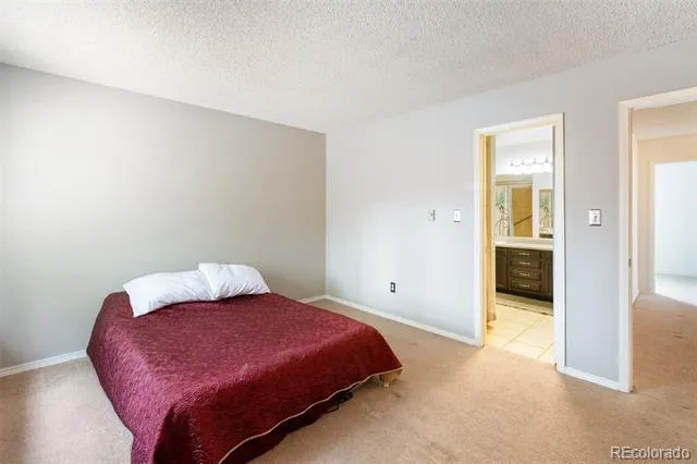 560 Manor Court #C Woodland Park, CO 80863
