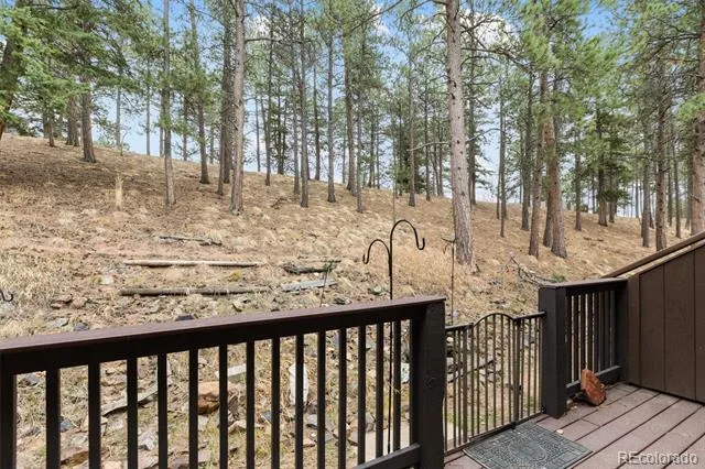 560 Manor Court #C Woodland Park, CO 80863