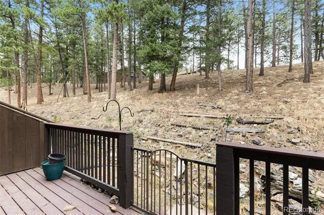 560 Manor Court #C Woodland Park, CO 80863
