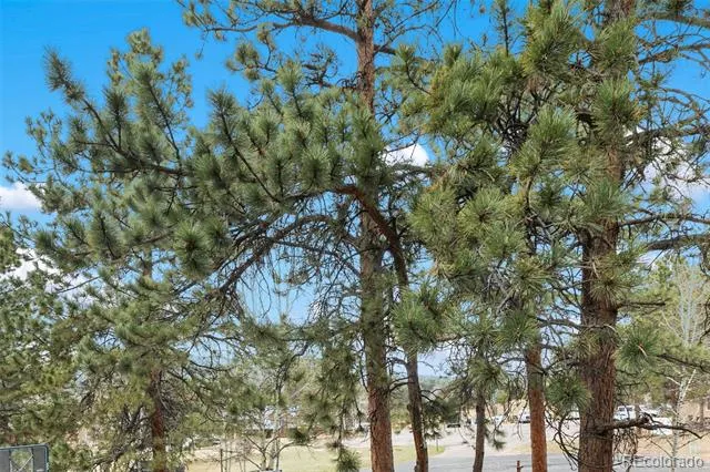 560 Manor Court #C Woodland Park, CO 80863