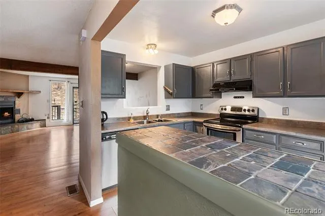 560 Manor Court #C Woodland Park, CO 80863