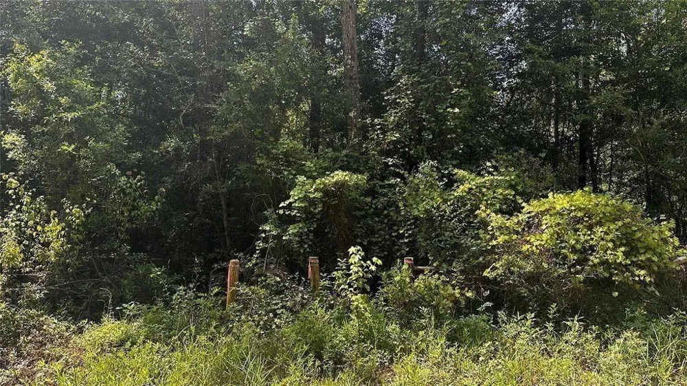 5350 Wingfield Drive Lumberton, TX 77657