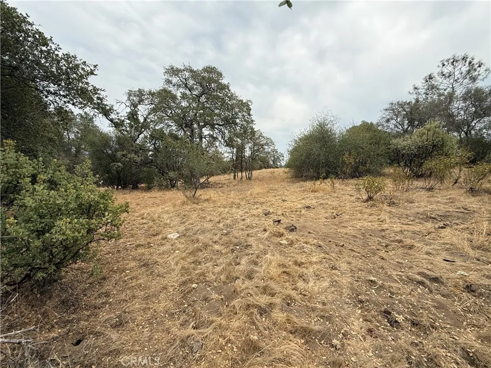 Flying O Ranch Rd. O'Neals, CA 93645