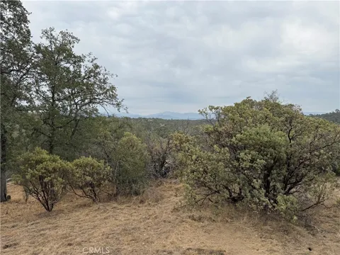 Flying O Ranch Rd.