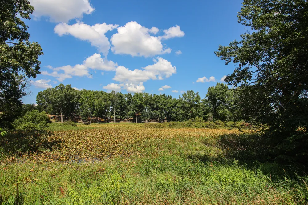 17700 Brad Lane Three Rivers, MI 49093