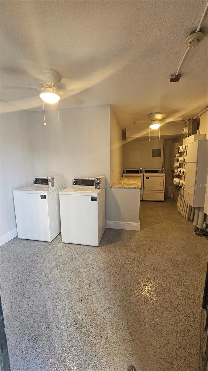 3914 W NEPTUNE STREET #3 Tampa, FL 33629
