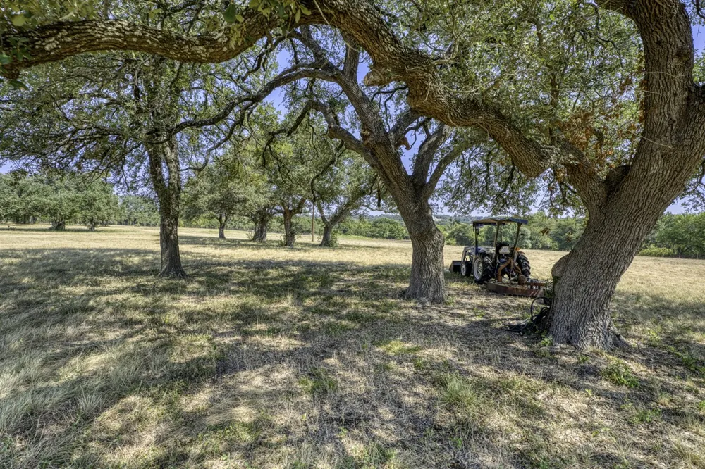 D N WATTS LANE Belton, TX 76513