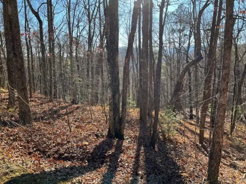 LOT #1 Forest Canopy Way