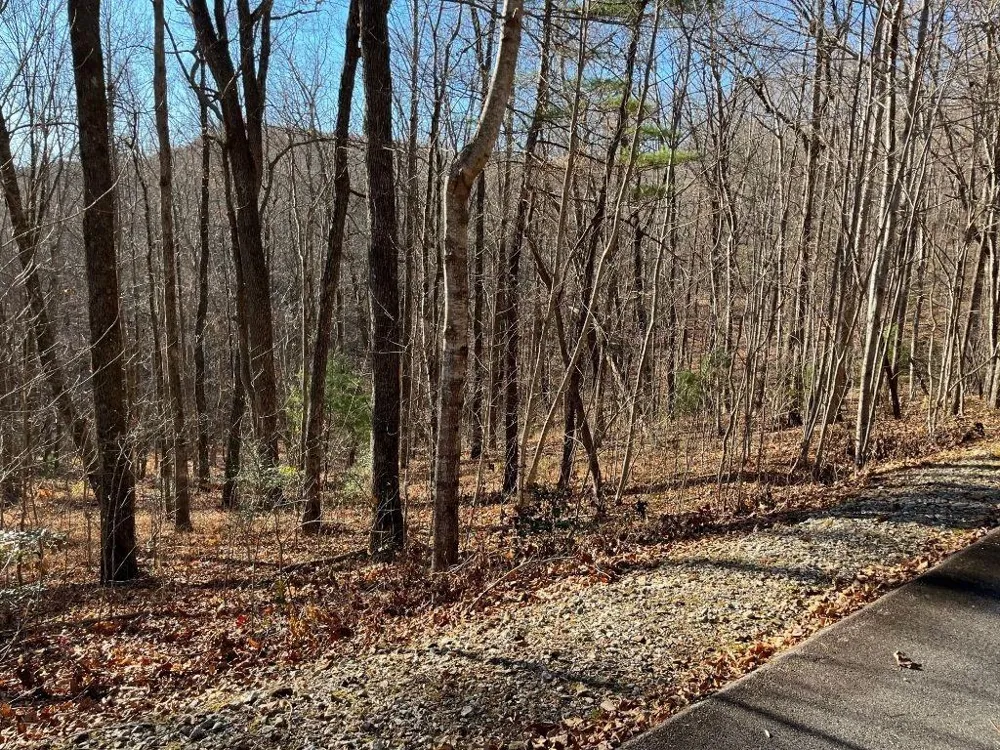 LOT #1 Forest Canopy Way Clayton, GA 30525