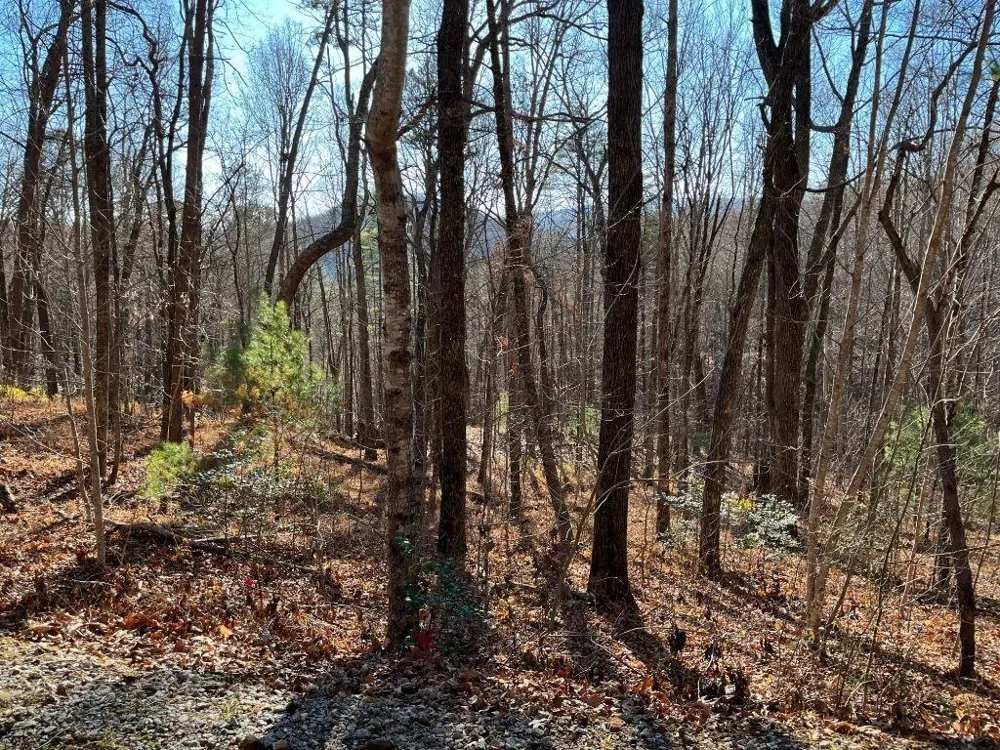 LOT #1 Forest Canopy Way Clayton, GA 30525