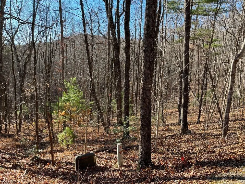 LOT #1 Forest Canopy Way Clayton, GA 30525