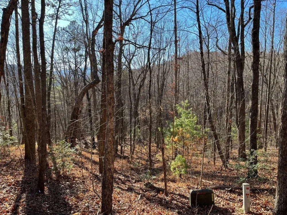 LOT #1 Forest Canopy Way Clayton, GA 30525
