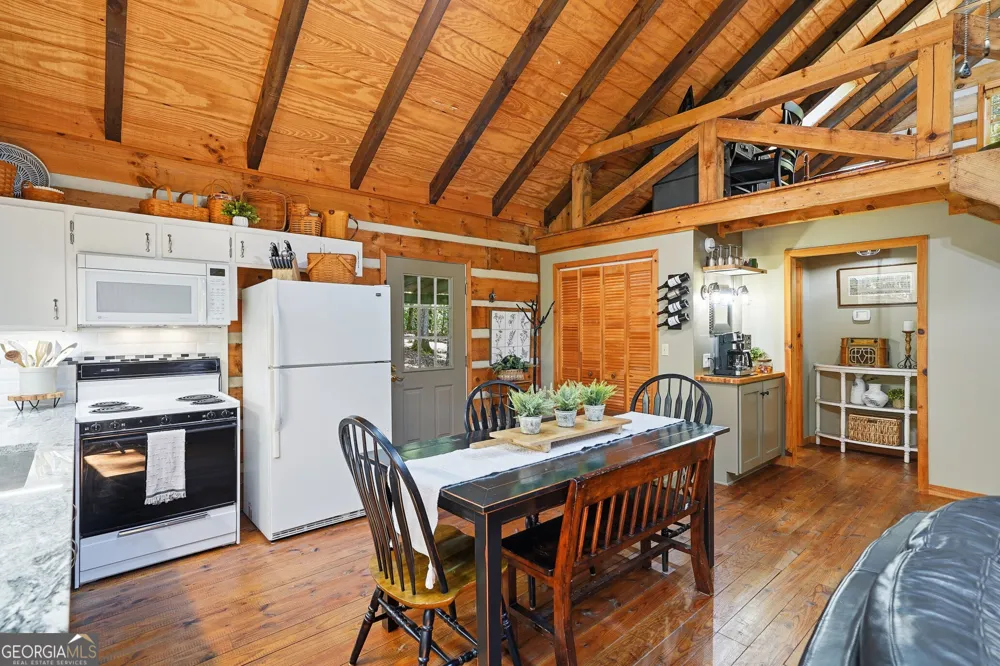 46 Gooseberry TRL Blue Ridge, GA 30513