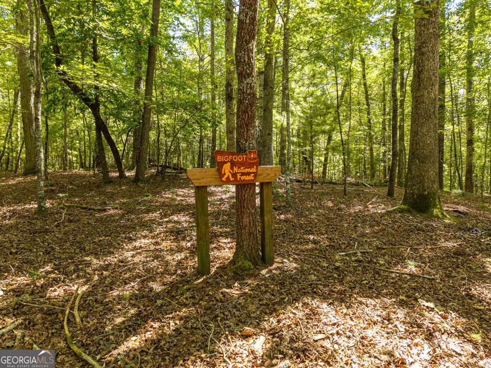 46 Gooseberry TRL Blue Ridge, GA 30513