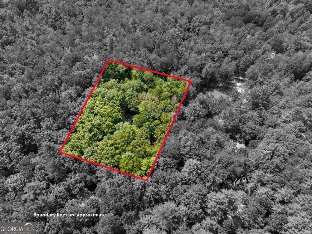 46 Gooseberry TRL Blue Ridge, GA 30513
