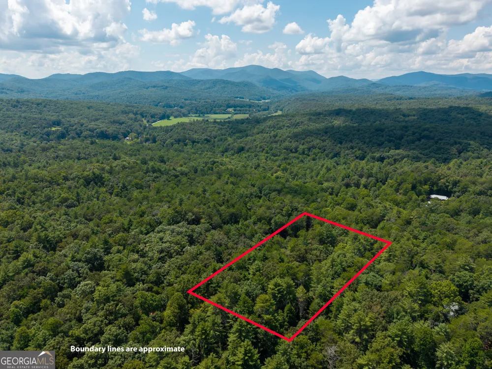 46 Gooseberry TRL Blue Ridge, GA 30513