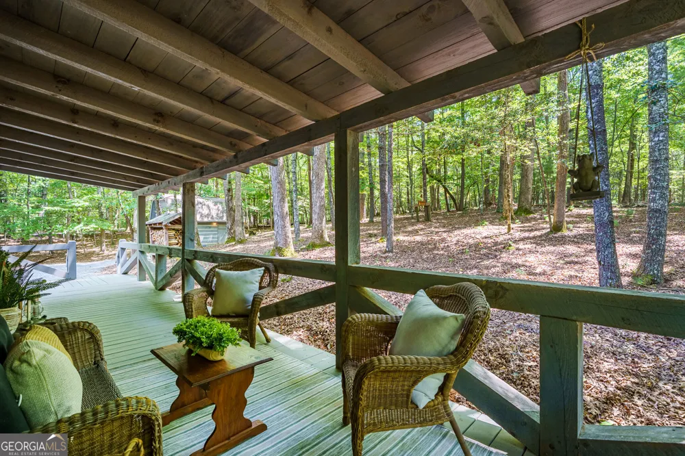 46 Gooseberry TRL Blue Ridge, GA 30513