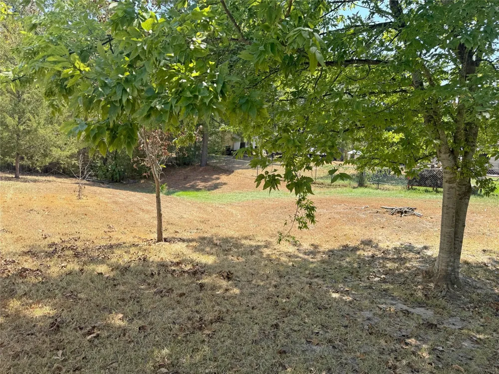 399 Pine Lane Onalaska, TX 77360