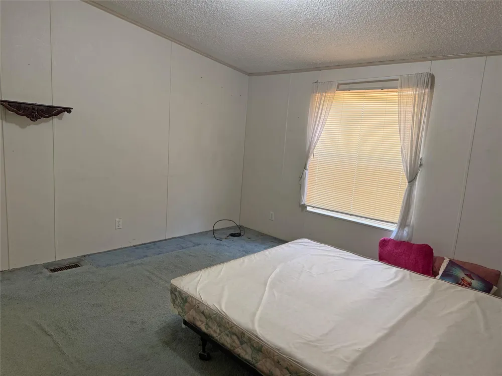 399 Pine Lane Onalaska, TX 77360