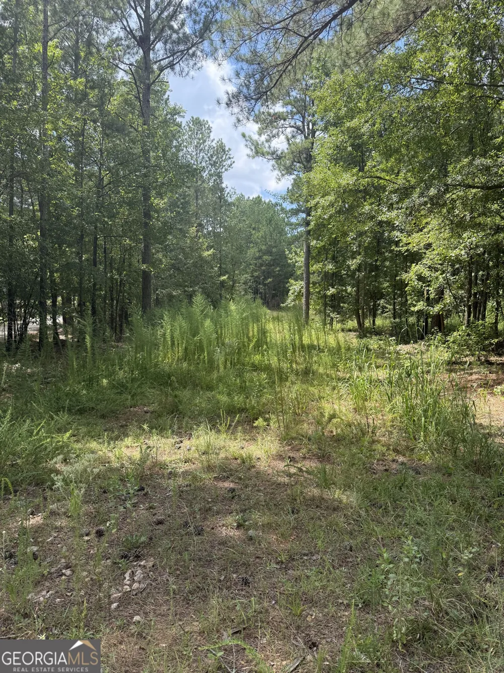 460 Yarbrough Mill RD Locust Grove, GA 30248