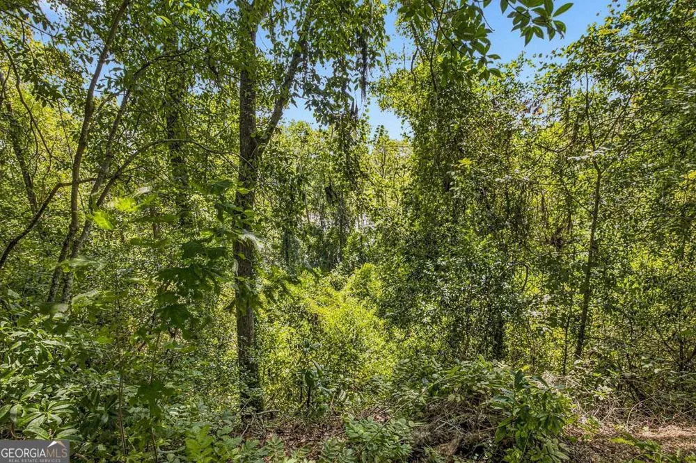 714 Altamaha RD Jesup, GA 31545