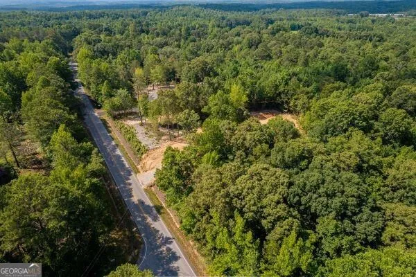 7824 Georgia Highway 100 Buchanan, GA 30113