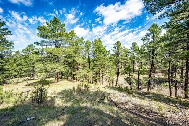 40400 Moon Stone Court Deer Trail, CO 80105