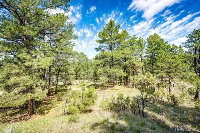 40400 Moon Stone Court Deer Trail, CO 80105