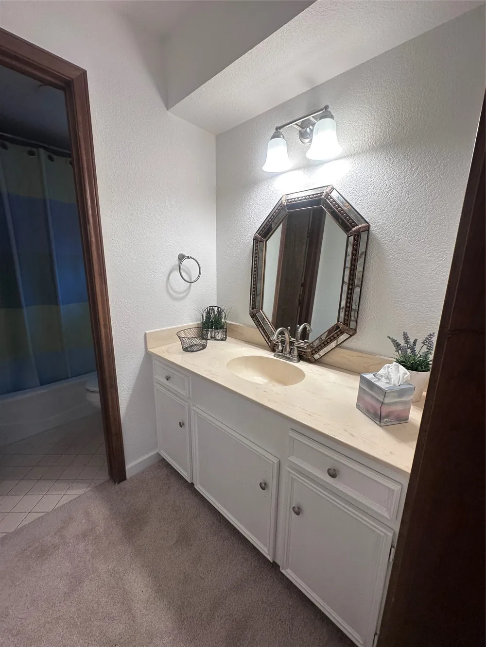2510 Buttercup Drive Richardson, TX 75082