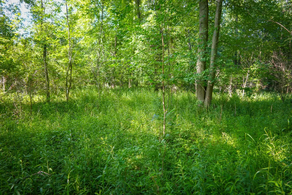20 S 168th Avenue Hesperia, MI 49421