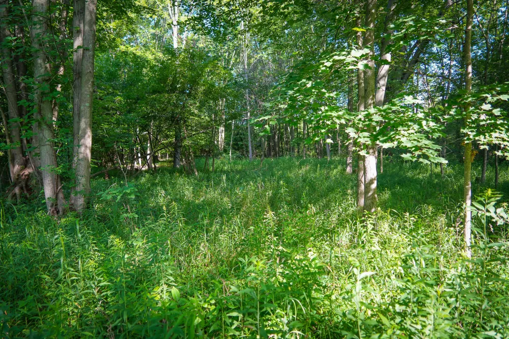 20 S 168th Avenue Hesperia, MI 49421