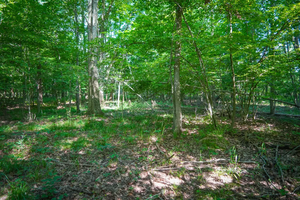 20 S 168th Avenue Hesperia, MI 49421