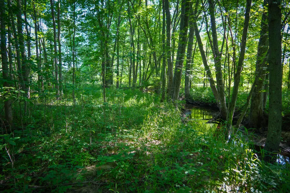 20 S 168th Avenue Hesperia, MI 49421