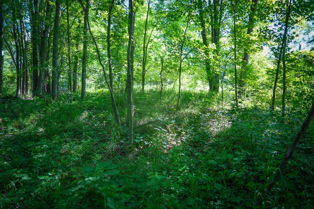 20 S 168th Avenue Hesperia, MI 49421
