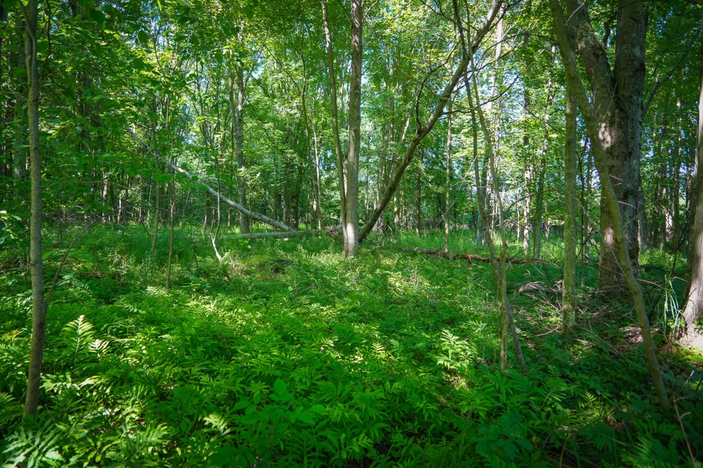 20 S 168th Avenue Hesperia, MI 49421