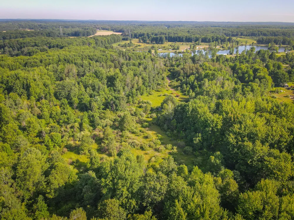 20 S 168th Avenue Hesperia, MI 49421