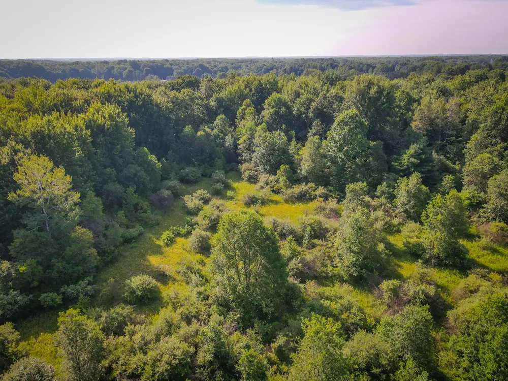 20 S 168th Avenue Hesperia, MI 49421